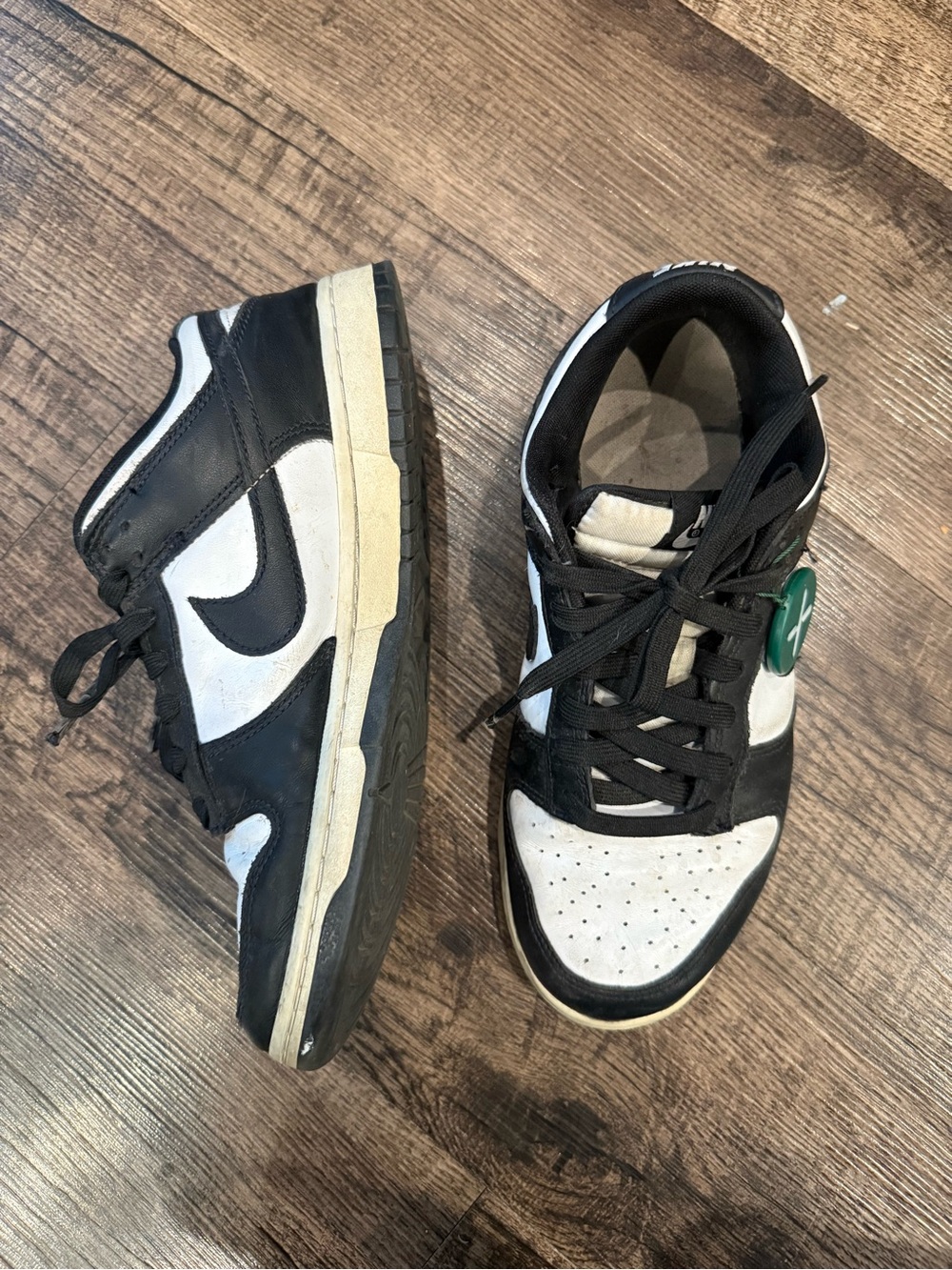 NIKE Men’s Dunk Low Shoes